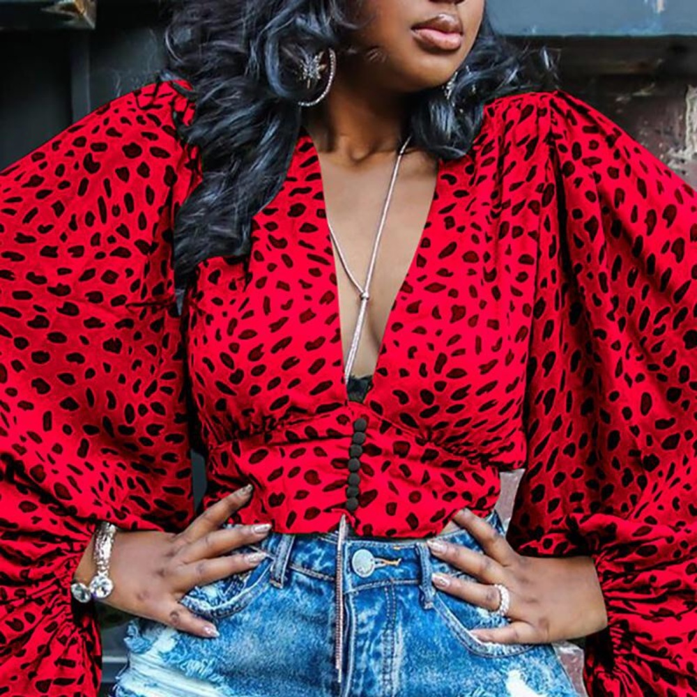 Leopard print, long sleeve crop top